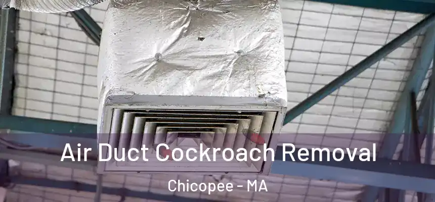 Air Duct Cockroach Removal Chicopee - MA