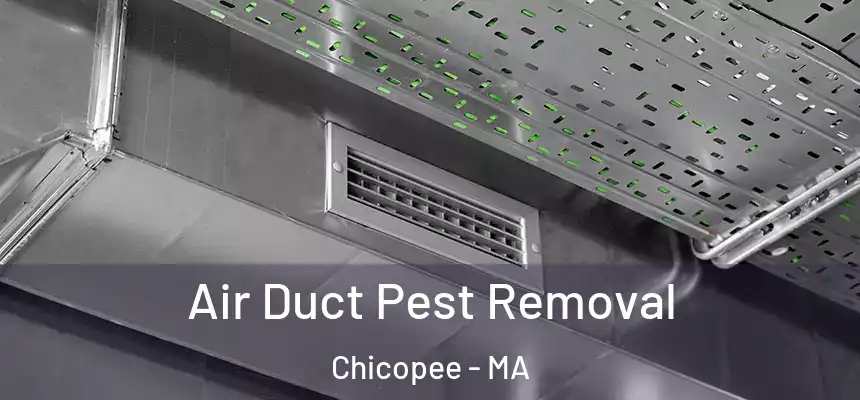  Air Duct Pest Removal Chicopee - MA