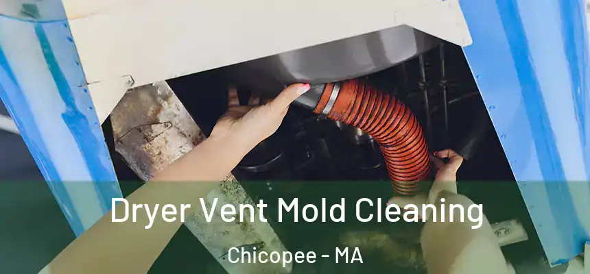 Dryer Vent Mold Cleaning Chicopee - MA