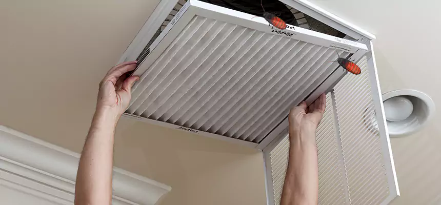 Preventive Cockroach-Proofing for Ducts in Chicopee