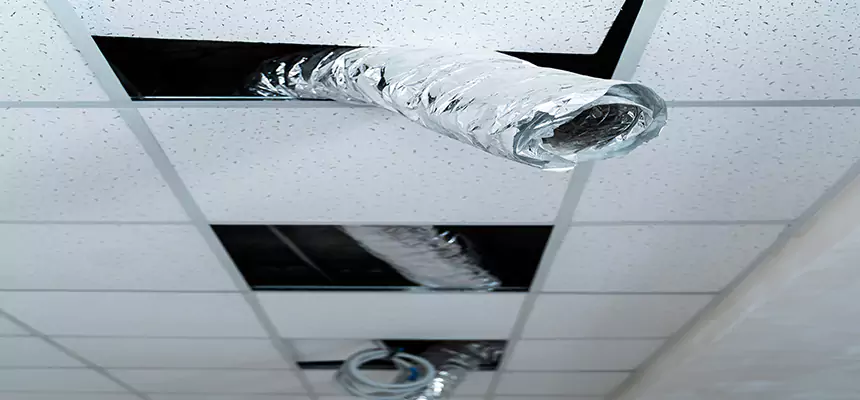 Affordable HVAC Sanitizing After Pest Removal in Chicopee