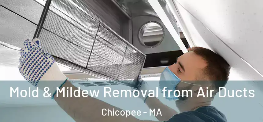  Mold & Mildew Removal from Air Ducts Chicopee - MA