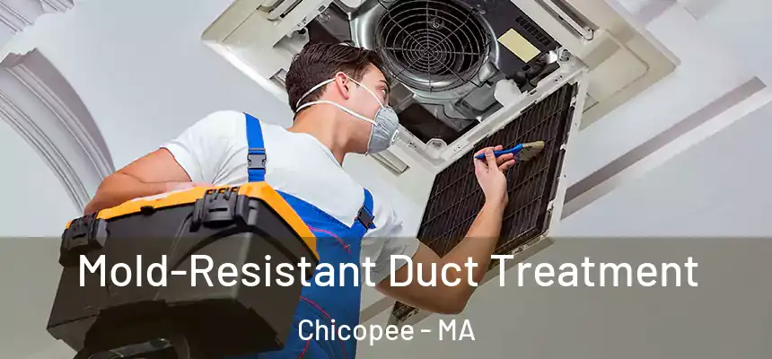  Mold-Resistant Duct Treatment Chicopee - MA