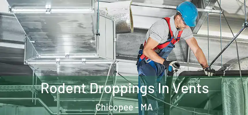  Rodent Droppings In Vents Chicopee - MA