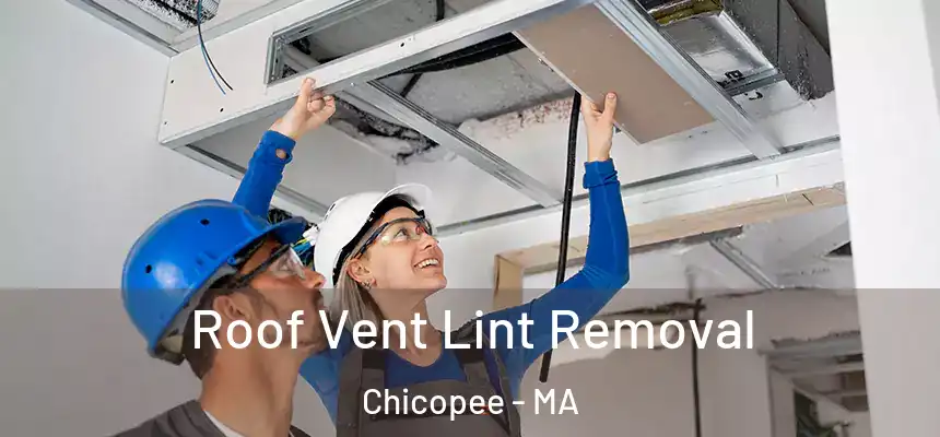 Roof Vent Lint Removal Chicopee - MA