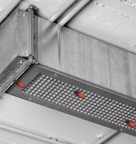 About Air Duct Cockroach Removal in Chicopee, MA