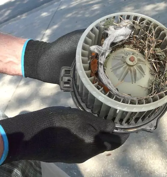 About Air Duct Mice Removal in Chicopee, MA