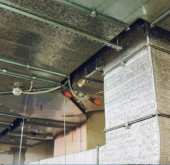 Why Homeowners & Businesses Trust Us in Chicopee, MA?