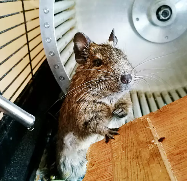 Why Homeowners & Businesses Trust Us Chicopee, MA?