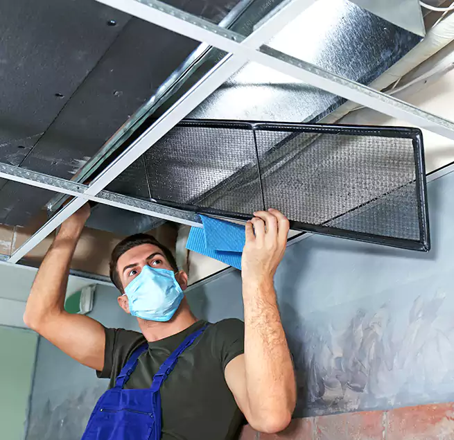 Why Homeowners Businesses Trust Us in Chicopee, MA