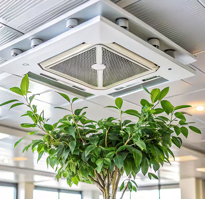 Why Homeowners & Businesses Trust Us in Chicopee, MA?