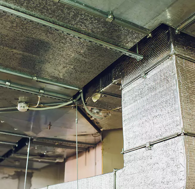 Why Homeowners & Businesses Trust Us in Chicopee, MA?